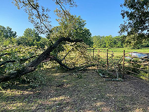 Cemetery Cleanup 2023