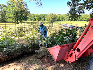 Cemetery Cleanup 2023