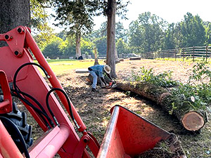 Cemetery Cleanup 2023